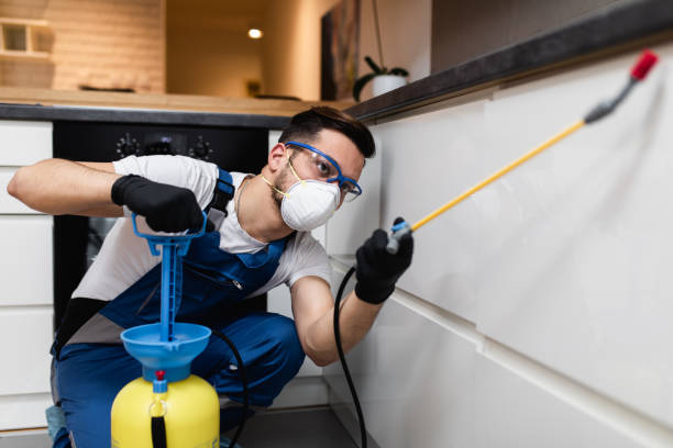 Best Best Pest Control Companies  in Garden City, SC