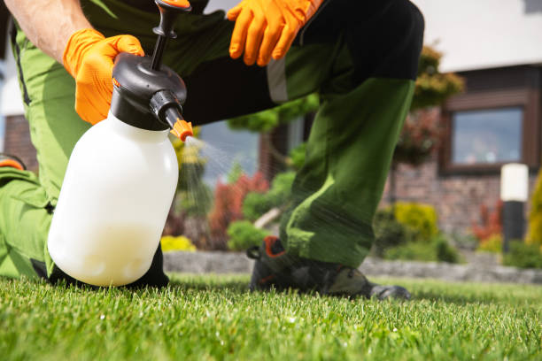 Best Pest Control for Businesses  in Garden City, SC