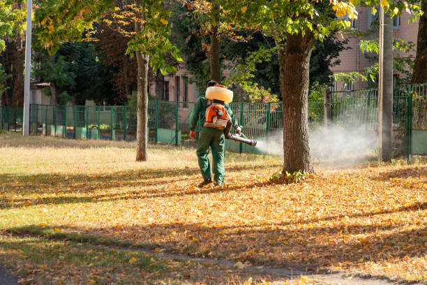 Best Residential Pest Control  in Garden City, SC