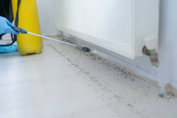 Best Cockroach Control Services  in Garden City, SC